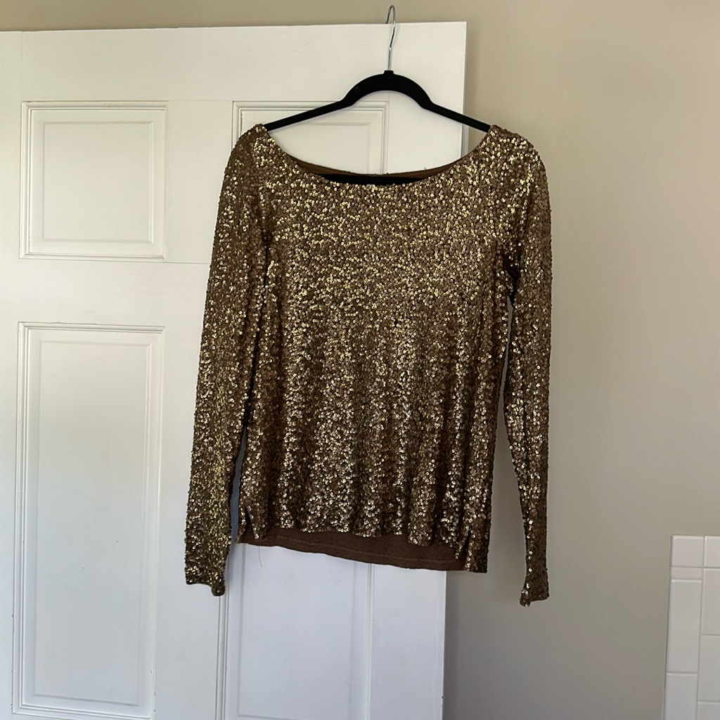 Fancy Sequence Blouse